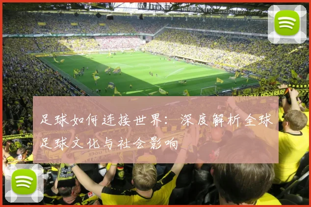 足球如何连接世界:深度解析全球足球文化与社会影响