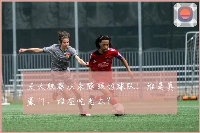 五大联赛从未降级的球队：谁是真豪门，谁在吃老本？